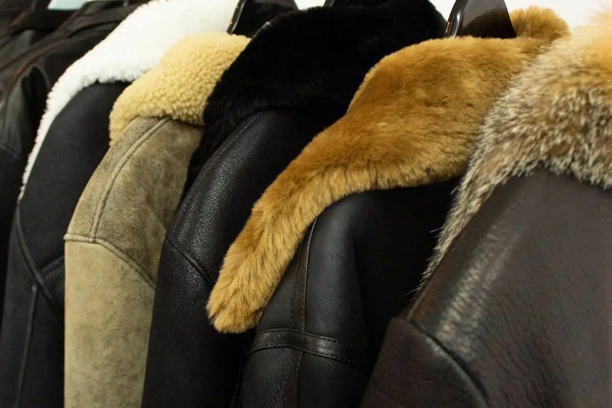 What to Look for in a Dry Cleaner for Your Canada Goose Jacket